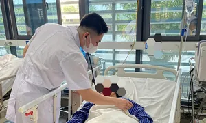 Rắn độc vào nhà cắn người phụ nữ nguy kịch