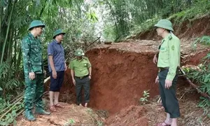 Dỡ nhà, di dời 115 hộ dân vì nhiều quả đồi sạt lở