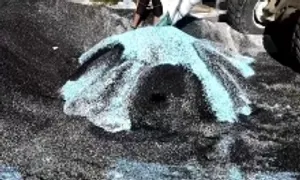 Dùng nhựa phế thải thay đá để làm đường ở Hungary